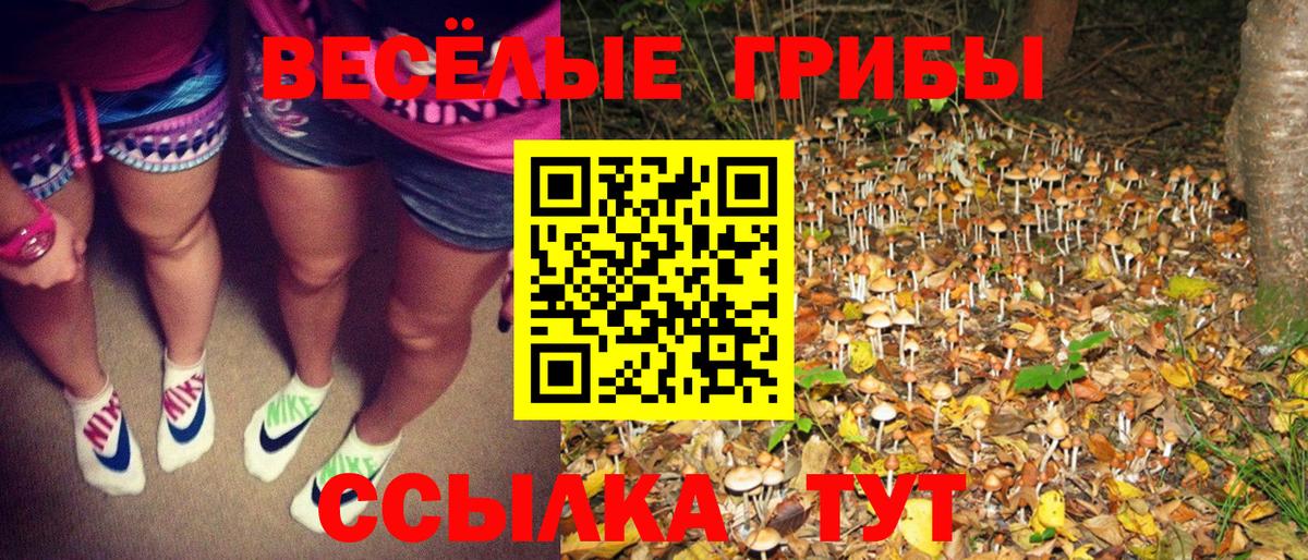 Бошки Шишки  Коряжма  Мефедрон кристаллы  A-PVP СОЛЬ кристаллы  КОКАИН  ГАШ  Гашиш  Вход с VPN 