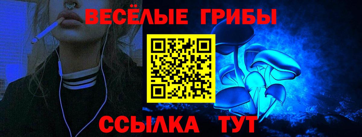 Галлюциногенные грибы MAGIC MUSHROOMS  Вход с VPN  Псилоцибиновые грибы прущие грибы  Коряжма 
